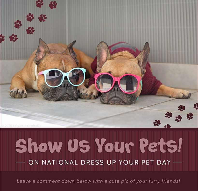 National Dress Up Your Pet Day in Culpeper